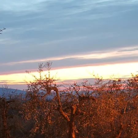 I Voltoni Di Corsignano *