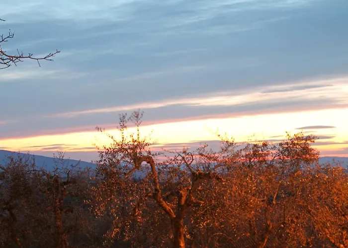 I Voltoni Di Corsignano *